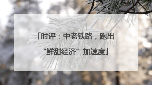 时评：中老铁路，跑出“鲜甜经济”加速度