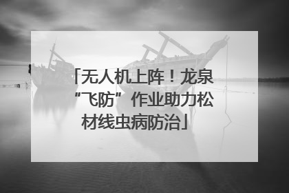 无人机上阵！龙泉“飞防”作业助力松材线虫病防治