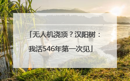 无人机浇顶？汉阳树：我活546年第一次见