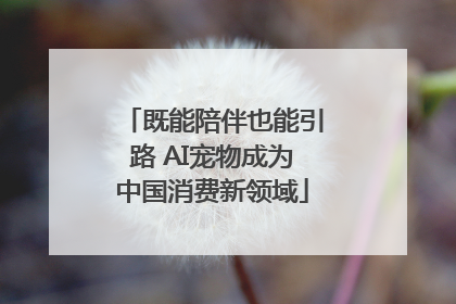 既能陪伴也能引路 AI宠物成为中国消费新领域