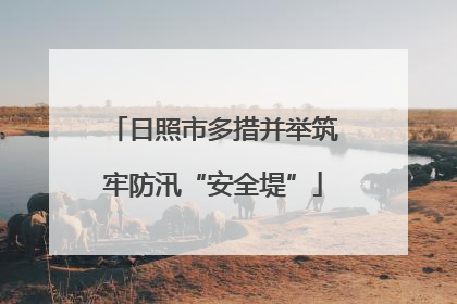日照市多措并举筑牢防汛“安全堤”