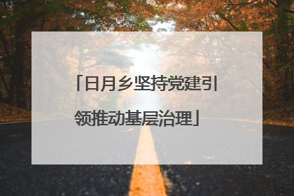 日月乡坚持党建引领推动基层治理