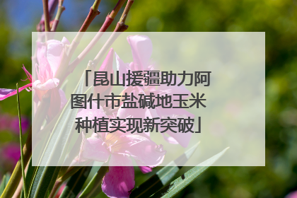 昆山援疆助力阿图什市盐碱地玉米种植实现新突破