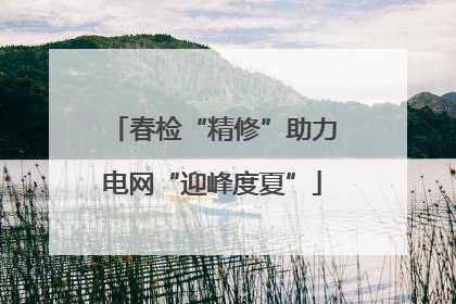 春检“精修”助力电网“迎峰度夏”