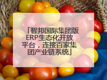 智邦国际集团版ERP生态化开放平台，连接百家集团产业链系统