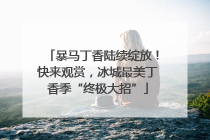 暴马丁香陆续绽放！快来观赏，冰城最美丁香季“终极大招”
