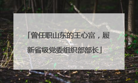 曾任职山东的王心富，履新省级党委组织部部长