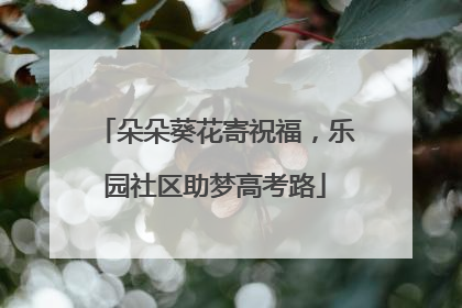 朵朵葵花寄祝福，乐园社区助梦高考路