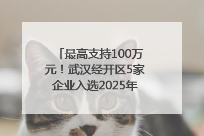 最高支持100万元！武汉经开区5家企业入选2025年度武汉市重点研发计划拟立项项目名单