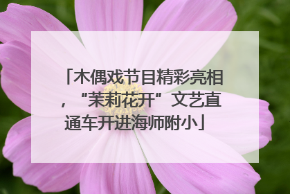 木偶戏节目精彩亮相，“茉莉花开”文艺直通车开进海师附小