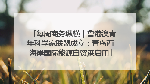 每周商务纵横｜鲁港澳青年科学家联盟成立；青岛西海岸国际能源自贸港启用