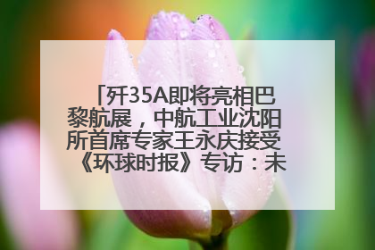 歼35A即将亮相巴黎航展，中航工业沈阳所首席专家王永庆接受《环球时报》专访：未来数量可以有很多