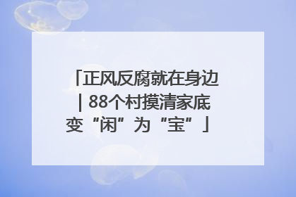 正风反腐就在身边｜88个村摸清家底变“闲”为“宝”