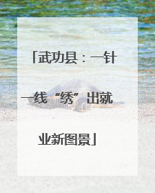 武功县：一针一线“绣”出就业新图景