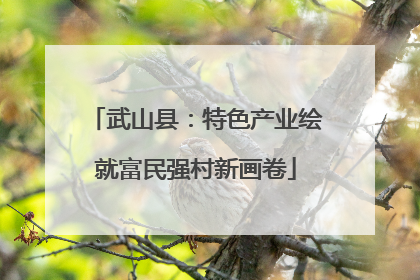 武山县：特色产业绘就富民强村新画卷
