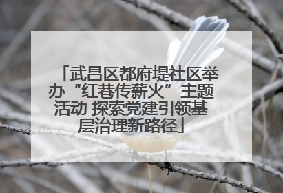 武昌区都府堤社区举办“红巷传薪火”主题活动 探索党建引领基层治理新路径