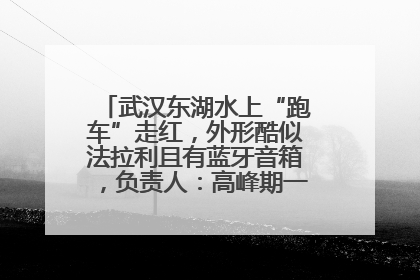 武汉东湖水上“跑车”走红，外形酷似法拉利且有蓝牙音箱，负责人：高峰期一两百人排队
