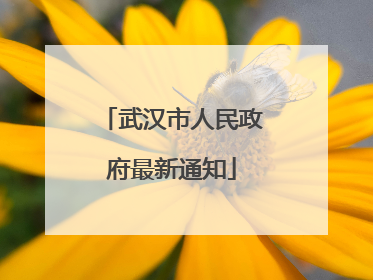 武汉市人民政府最新通知