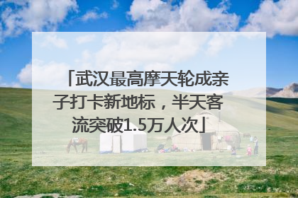 武汉最高摩天轮成亲子打卡新地标，半天客流突破1.5万人次
