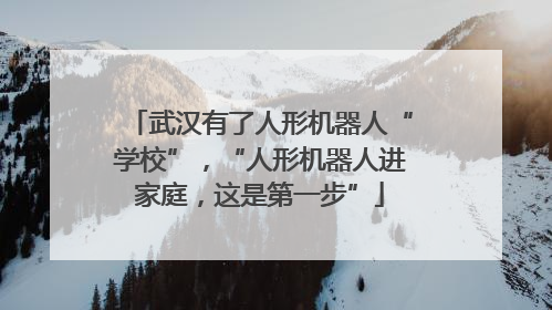 武汉有了人形机器人“学校”，“人形机器人进家庭，这是第一步”