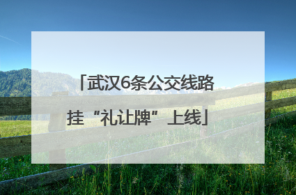 武汉6条公交线路挂“礼让牌”上线