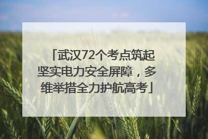 武汉72个考点筑起坚实电力安全屏障，多维举措全力护航高考