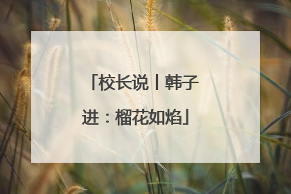 校长说丨韩子进：榴花如焰