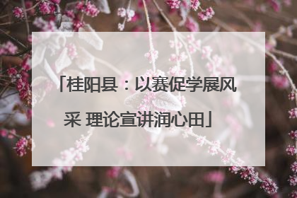 桂阳县：以赛促学展风采 理论宣讲润心田