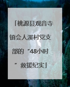 桃源县观音寺镇会人溪村党支部的“48小时”救援纪实