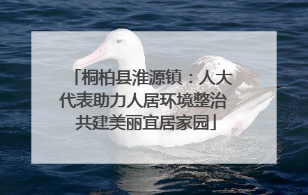 桐柏县淮源镇：人大代表助力人居环境整治 共建美丽宜居家园