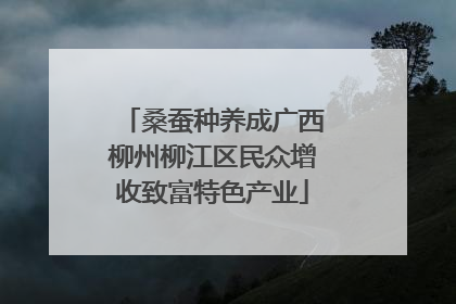 桑蚕种养成广西柳州柳江区民众增收致富特色产业