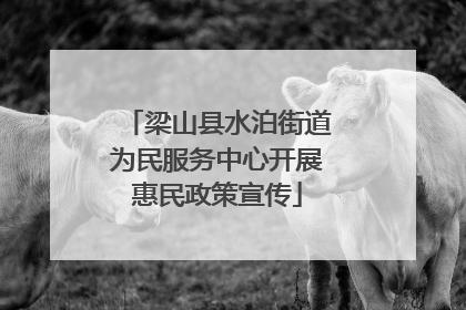 梁山县水泊街道为民服务中心开展惠民政策宣传