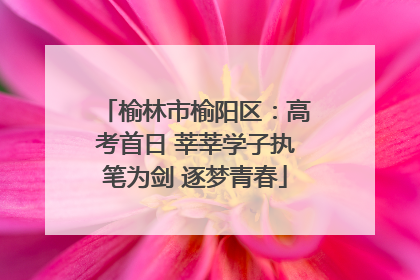 榆林市榆阳区：高考首日 莘莘学子执笔为剑 逐梦青春