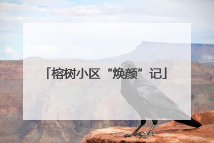 榕树小区“焕颜”记