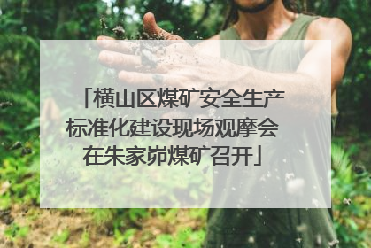 横山区煤矿安全生产标准化建设现场观摩会在朱家峁煤矿召开
