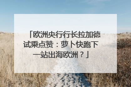 欧洲央行行长拉加德试乘点赞：萝卜快跑下一站出海欧洲？