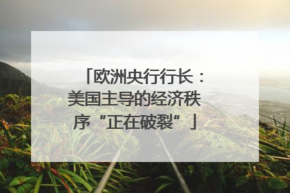 欧洲央行行长：美国主导的经济秩序“正在破裂”
