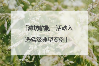 潍坊临朐一活动入选省级典型案例