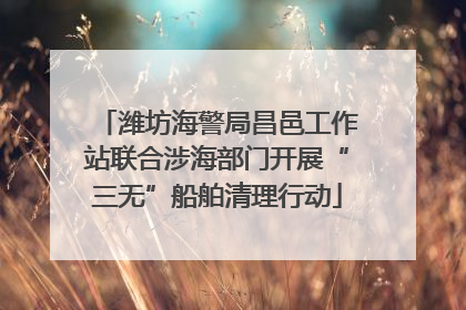 潍坊海警局昌邑工作站联合涉海部门开展“三无”船舶清理行动
