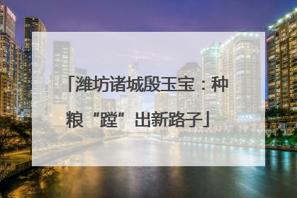 潍坊诸城殷玉宝：种粮“蹚”出新路子