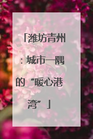 潍坊青州：城市一隅的“暖心港湾”