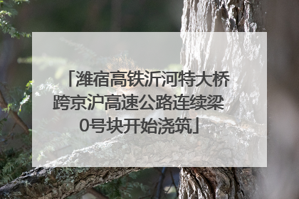 潍宿高铁沂河特大桥跨京沪高速公路连续梁0号块开始浇筑