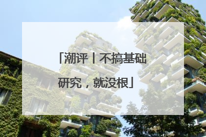 潮评丨不搞基础研究，就没根