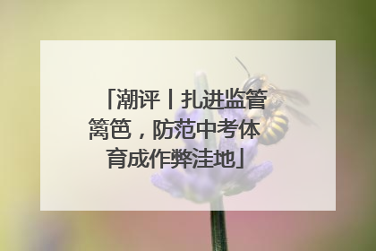 潮评丨扎进监管篱笆，防范中考体育成作弊洼地