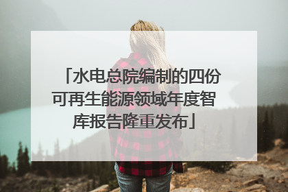 水电总院编制的四份可再生能源领域年度智库报告隆重发布
