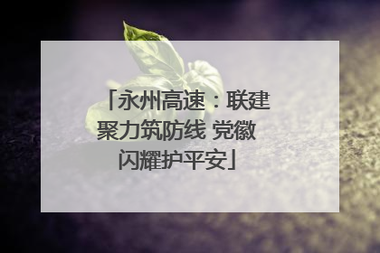 永州高速：联建聚力筑防线 党徽闪耀护平安