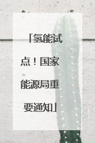 氢能试点！国家能源局重要通知