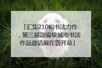 汇集210幅书法力作，第三届副省级城市书法作品邀请展在蓉开幕