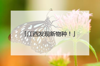 江西发现新物种！