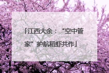 江西大余：“空中管家”护航稻虾共作